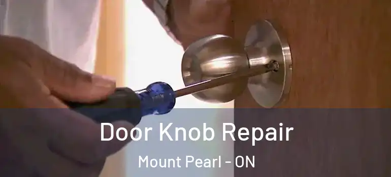 Door Knob Repair Mount Pearl - ON