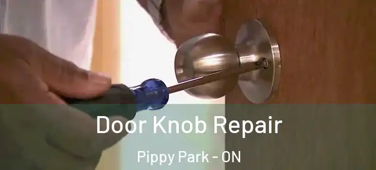 Door Knob Repair Pippy Park - ON