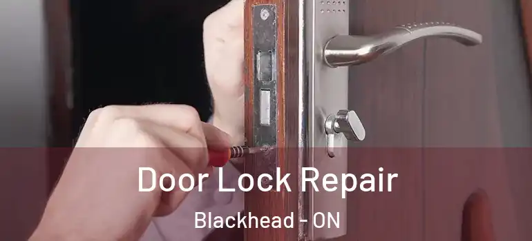 Door Lock Repair Blackhead - ON