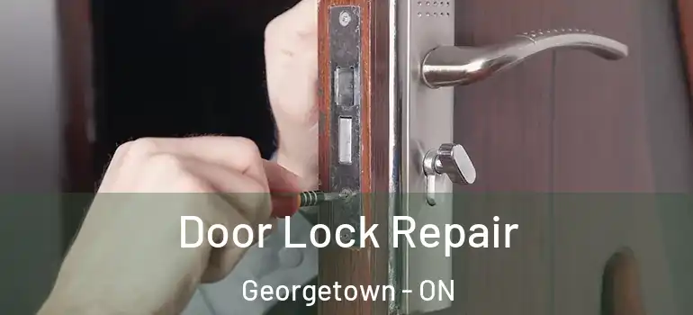  Door Lock Repair Georgetown - ON