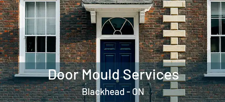  Door Mould Services Blackhead - ON