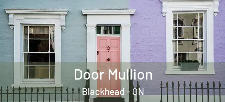 Door Mullion Blackhead - ON