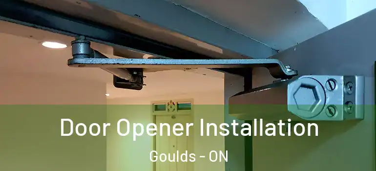 Door Opener Installation Goulds - ON