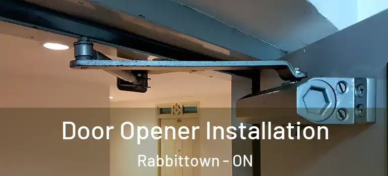 Door Opener Installation Rabbittown - ON