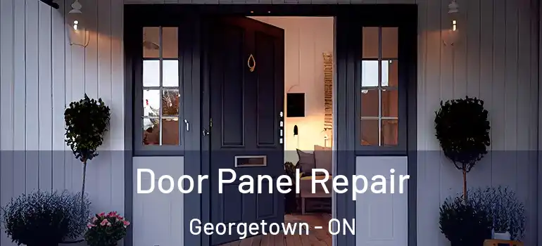  Door Panel Repair Georgetown - ON