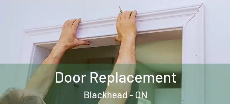 Door Replacement Blackhead - ON