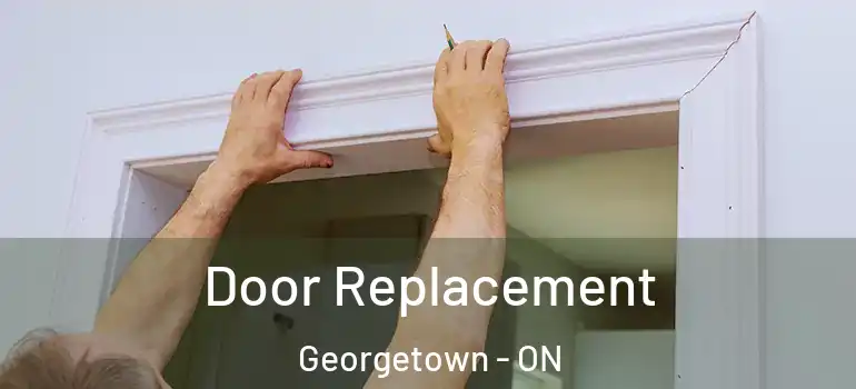 Door Replacement Georgetown - ON