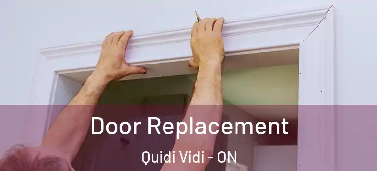 Door Replacement Quidi Vidi - ON
