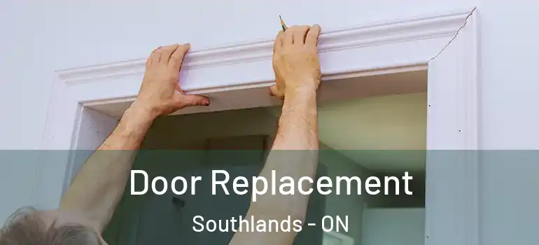  Door Replacement Southlands - ON