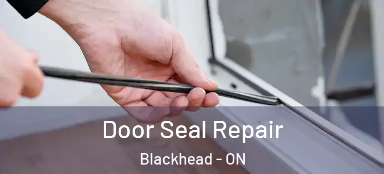 Door Seal Repair Blackhead - ON