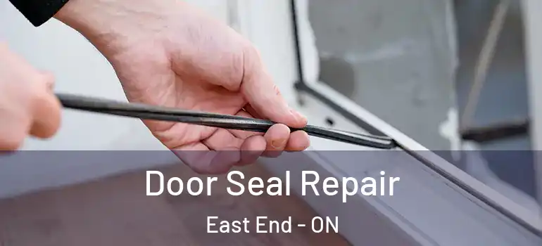 Door Seal Repair East End - ON