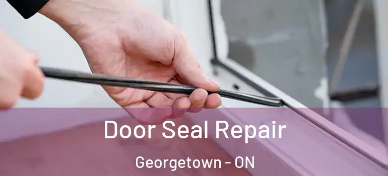 Door Seal Repair Georgetown - ON