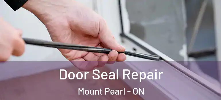 Door Seal Repair Mount Pearl - ON