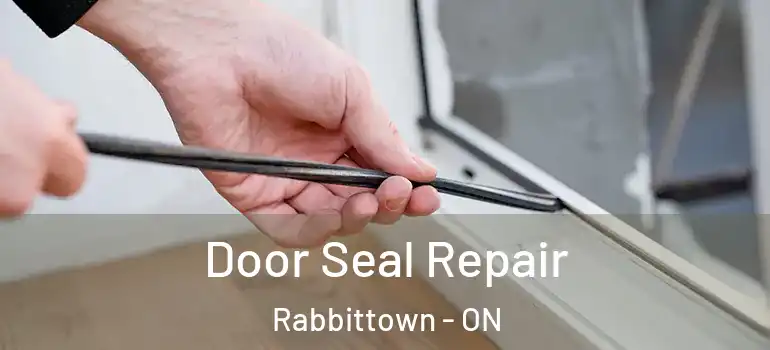  Door Seal Repair Rabbittown - ON