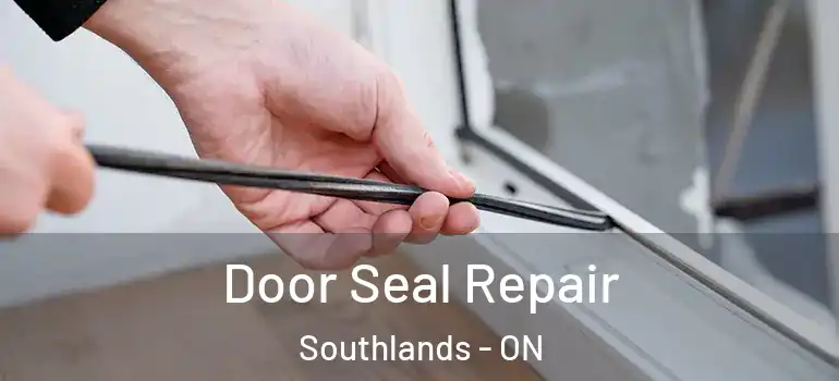 Door Seal Repair Southlands - ON