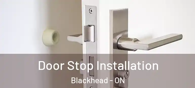 Door Stop Installation Blackhead - ON