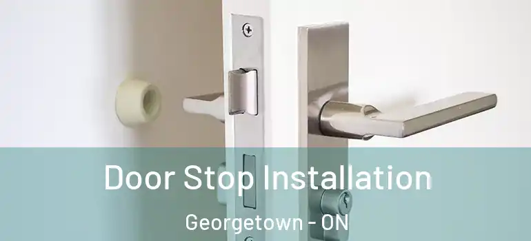 Door Stop Installation Georgetown - ON