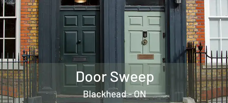 Door Sweep Blackhead - ON