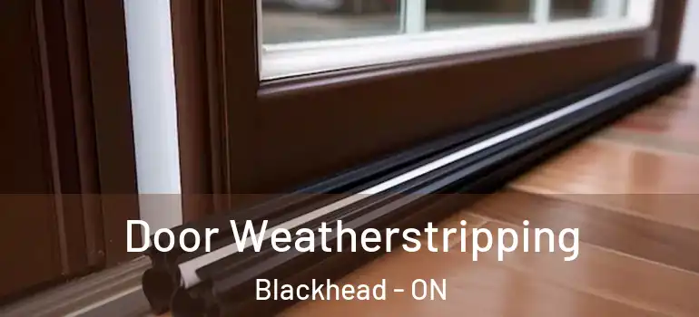 Door Weatherstripping Blackhead - ON