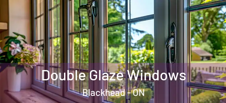 Double Glaze Windows Blackhead - ON