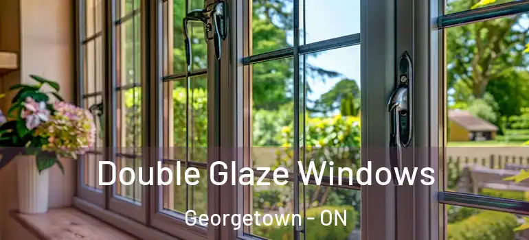  Double Glaze Windows Georgetown - ON