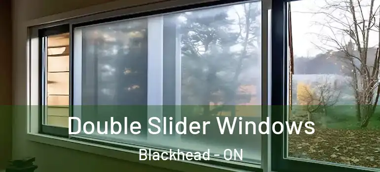  Double Slider Windows Blackhead - ON