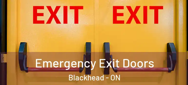 Emergency Exit Doors Blackhead - ON