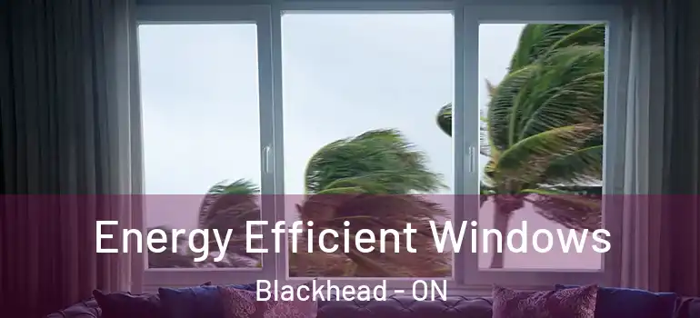 Energy Efficient Windows Blackhead - ON