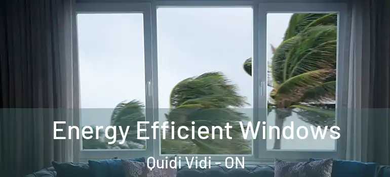 Energy Efficient Windows Quidi Vidi - ON