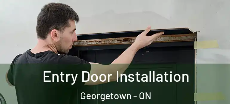  Entry Door Installation Georgetown - ON