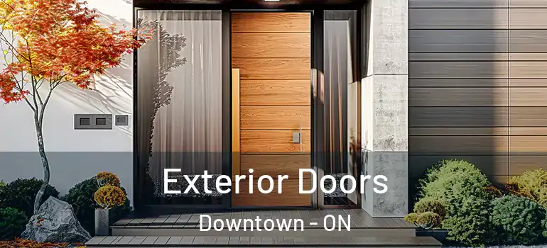 Exterior Doors Downtown - ON