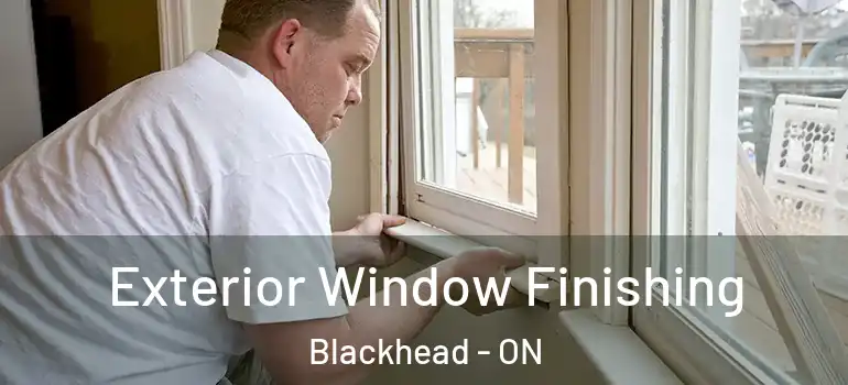Exterior Window Finishing Blackhead - ON