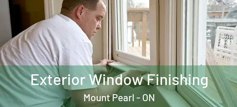 Exterior Window Finishing Mount Pearl - ON