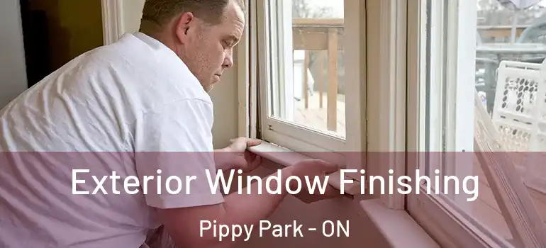 Exterior Window Finishing Pippy Park - ON