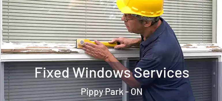  Fixed Windows Services Pippy Park - ON