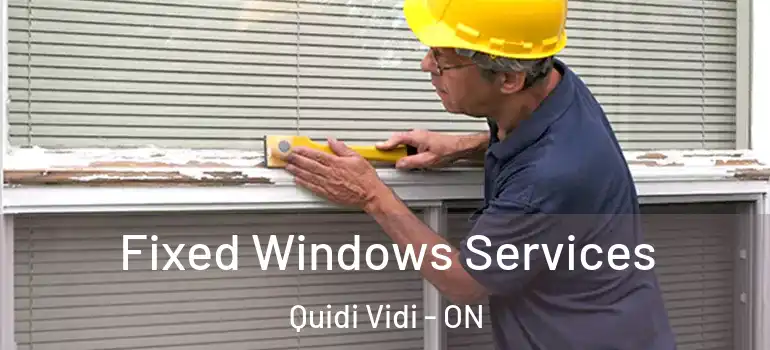  Fixed Windows Services Quidi Vidi - ON