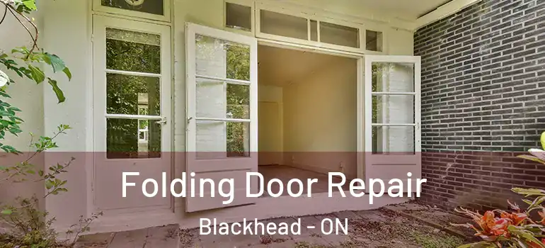 Folding Door Repair Blackhead - ON