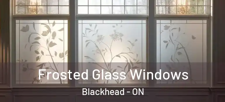 Frosted Glass Windows Blackhead - ON