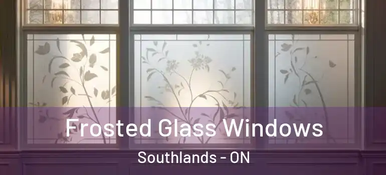 Frosted Glass Windows Southlands - ON