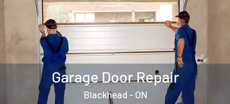 Garage Door Repair Blackhead - ON
