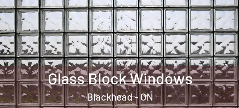  Glass Block Windows Blackhead - ON