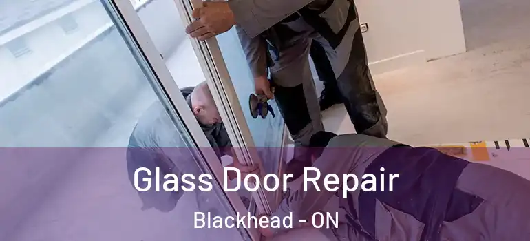 Glass Door Repair Blackhead - ON