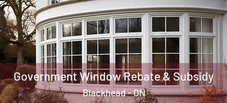 Government Window Rebate & Subsidy Blackhead - ON
