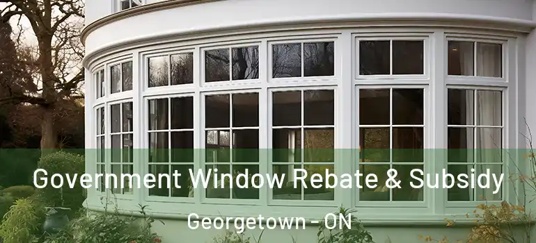 Government Window Rebate & Subsidy Georgetown - ON