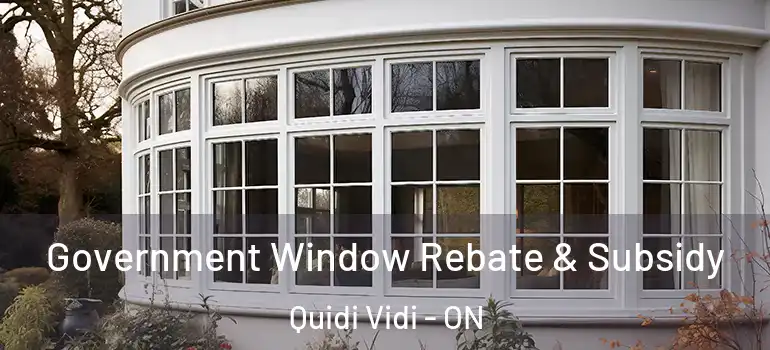 Government Window Rebate & Subsidy Quidi Vidi - ON
