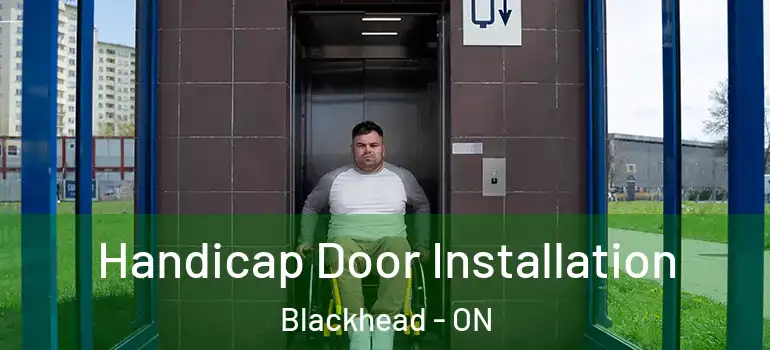 Handicap Door Installation Blackhead - ON