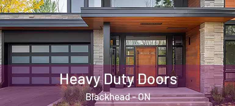 Heavy Duty Doors Blackhead - ON