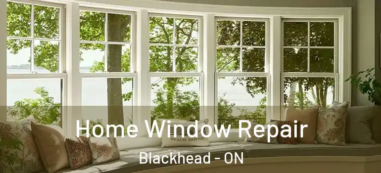  Home Window Repair Blackhead - ON