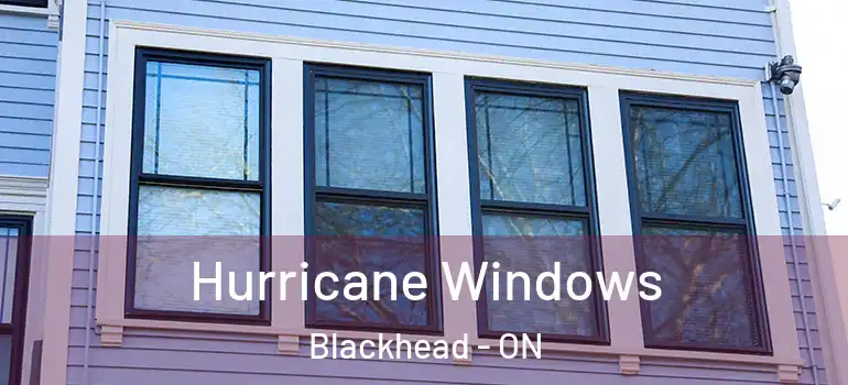 Hurricane Windows Blackhead - ON
