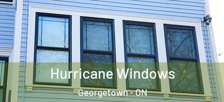 Hurricane Windows Georgetown - ON